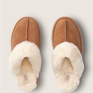 Ugg Disquette